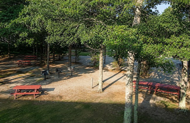 Sea Mist Resort - Photo 38