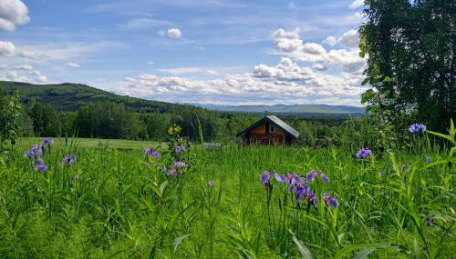 Secluded Log Cabin, 30 min from Chena Hot Springs - Foto 2