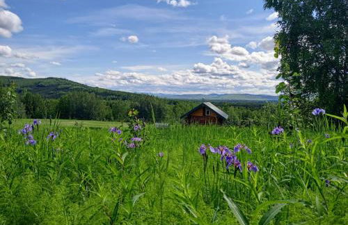 Secluded Log Cabin, 30 min from Chena Hot Springs - Foto 2