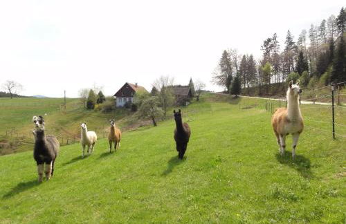 ruhiges Wohnen am Lama und Maine Coon Hof in Alleinlage in Biederbach 3 Zimmer mit Kochgelegenheit Bad - Foto 1