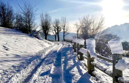 Appartamento Rosa - Foto 11