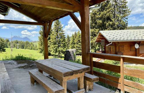 Chalet spacieux 4 pièces en forêt - Les Saisies - FR-1-594-42 - Foto 14