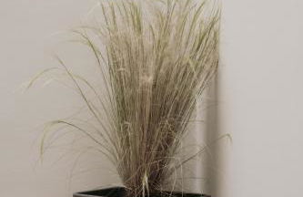 Semeli House - Foto 33