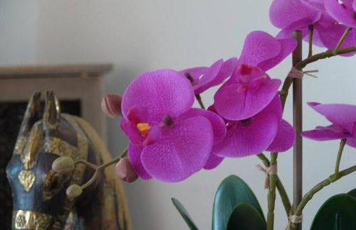 Coin de paradis en Provence - Foto 15