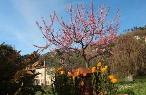 Casa vacanze Ester - Foto 60