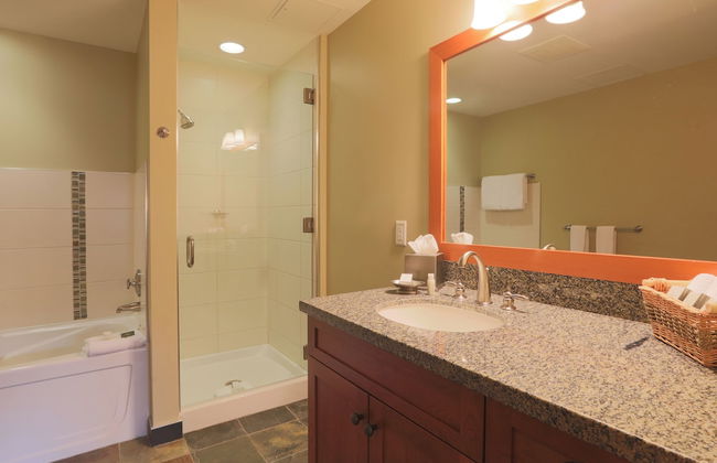 Capitol Peak- CoralTree Residence Collection - Foto 12