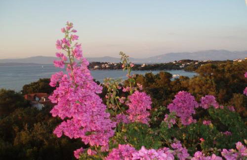 Apartment Bura - Foto 12