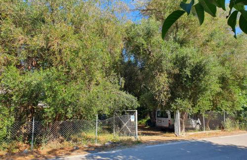 Archontiko Kourkoulos - Foto 26