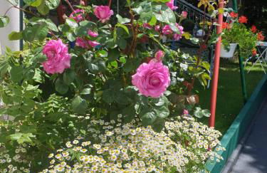 Ferienhaus Haus Herzog - Foto 72