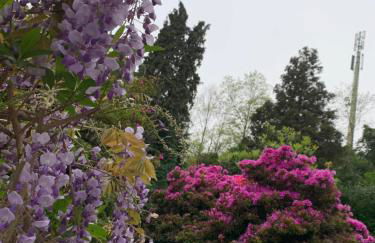 Foresterie MAGNOLIA - Foto 16