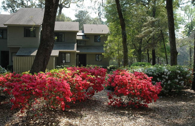 Carolina Club by Spinnaker Resorts - Foto 47