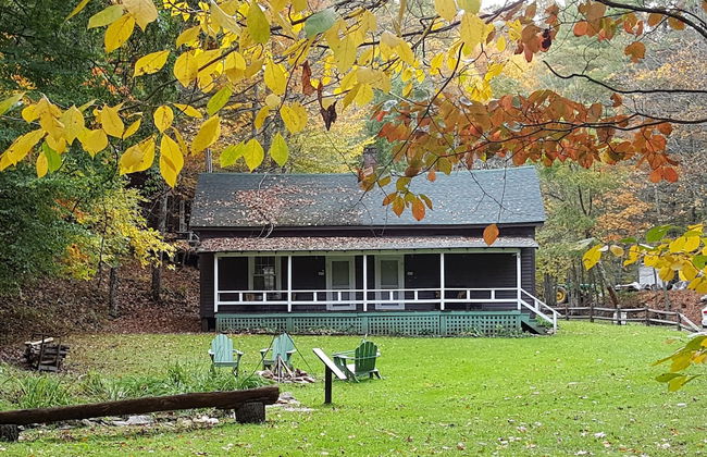 The Cabins at Healing Springs - Foto 1