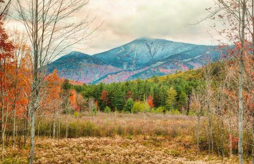 High Peaks Chalet - Foto 51