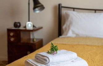 Grandma's house - Photo 8