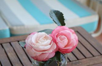 Casa dos Arcos - Foto 16