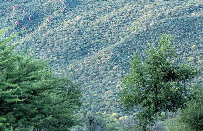 Waterberg Guest Farm - Foto 48