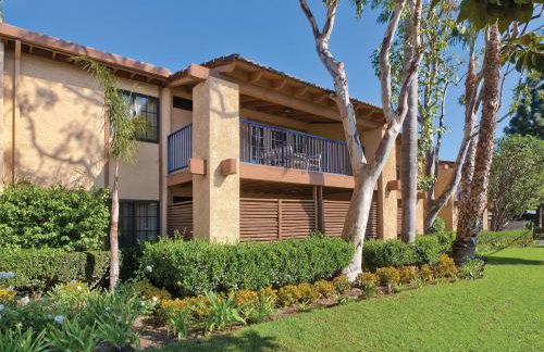 Wyndham Dolphin's Cove 1BR Suite with Resort Access - Foto 7