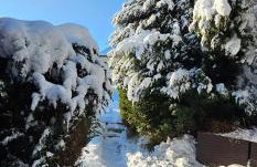 A-Frame am Ochsenkopf - Foto 54