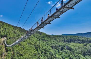 Black Forest Living, Todtnauberg, Feldberg - Foto 20