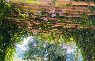 RECANTO FLORES DA MONTANHA- via fácil ASFALTO, VISTA das Montanhas - Foto 6