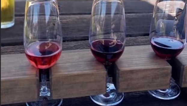 Recorrido Panorámico Gastronómico y Enológico - Foto 5