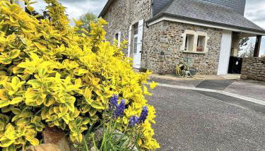 Escapade nature à deux dans un gîte cosy bordé d'un parc arboré - Foto 4