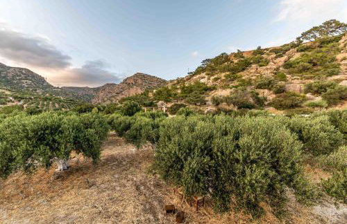 Natura cottages - Foto 106