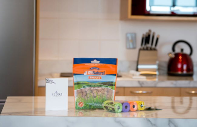 Fino Hotel and Suites - Foto 14