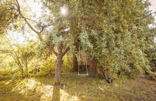 Lahnhaus Brühl/ Fende Haus - Foto 14