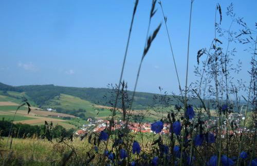 Ferienwohnungen Finke - Foto 25