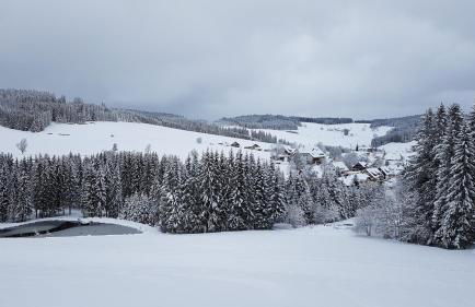 Ferienwohnung am Schneeberg - Foto 69