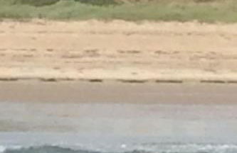 Apartment Wohnung mit Meerblick by Interhome - Photo 17