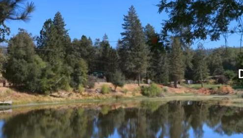 La Dolce Villa Pond Retreat in Yosemite - Foto 2