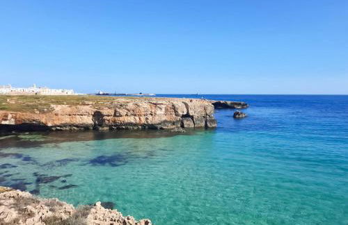 Cala Paradiso - Foto 24