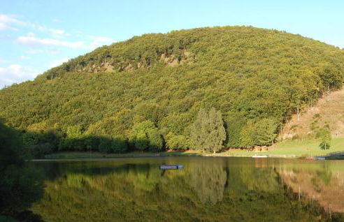 Holunder nah am Waldsee 3 - Foto 18