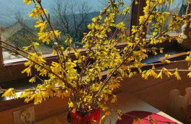 Pieśń Poranka Domek - Foto 13