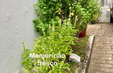 Loft aconchegante próx ao Quitandinha - Green Loft - Foto 7