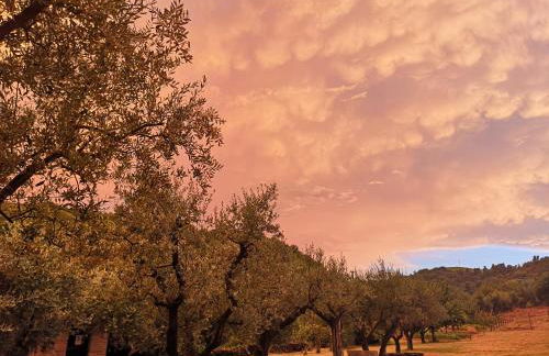 Pietra Antica Agriturismo - Foto 37