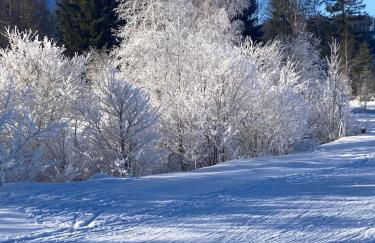 Traumhafte Wohnung im Chiemgau - Foto 29