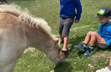 Villa Silvia - Photo 74