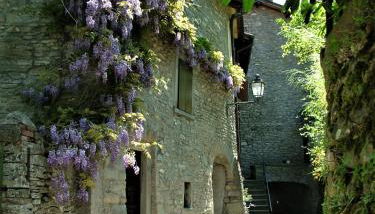 La Torre del Vicario - Foto 5