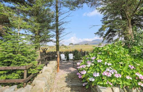 Ffynnon Bach - Foto 29