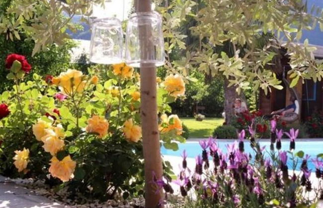 Holiday Apartment Krosshof - Photo 16