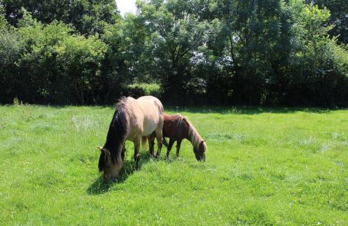 La Ferme de la Croix - Foto 26
