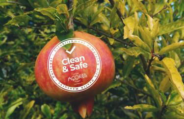 Quinta das Almas - Photo 16