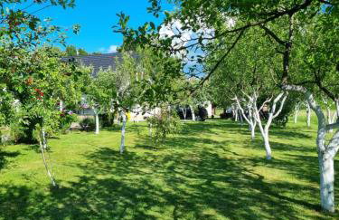 Apartment Rosandić - Foto 40