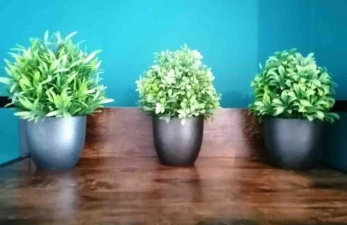 The Snug, Morpeth - Foto 18