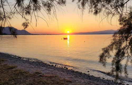 Beachfront cottage house in olive grove - Foto 15