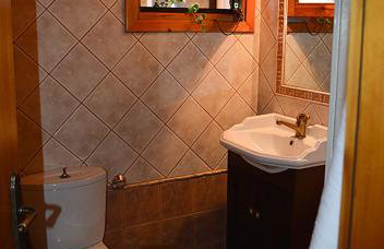 "The plane trees" - Foto 34