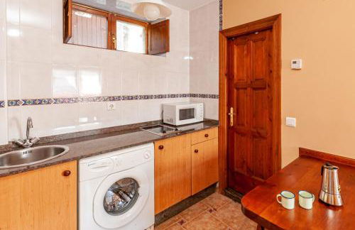 Apartamentos la Regoria - Foto 20